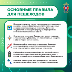 Медиапроект_Пешеходы