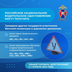 Карточки_7