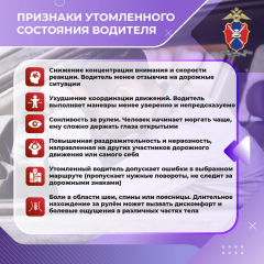 Медиапроект_Сон за рулем_MarkEdition1