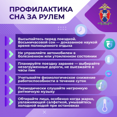 Медиапроект_Сон за рулем_MarkEdition1