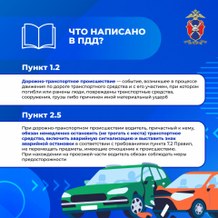Медиапроект_Безопасность детей-пассажиров