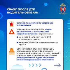 Медиапроект_Безопасность детей-пассажиров