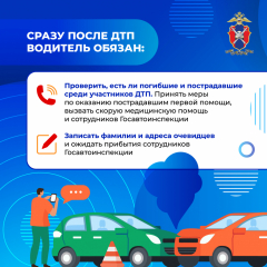 Медиапроект_Безопасность детей-пассажиров