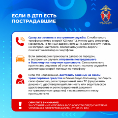 Медиапроект_Безопасность детей-пассажиров