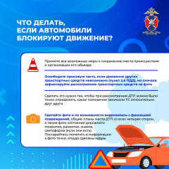 Медиапроект_Безопасность детей-пассажиров