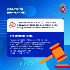 Медиапроект_Безопасность детей-пассажиров